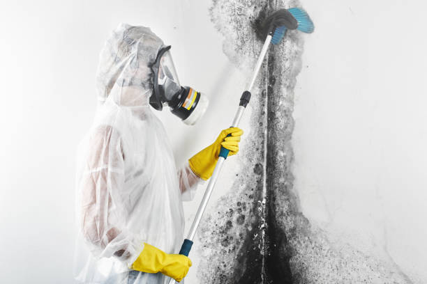 Forensic Mold Investigation in Chamberlain, SD