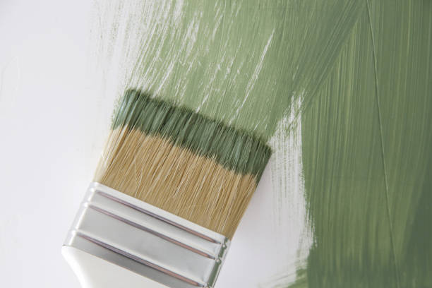 Best Commercial Mold Inspection  in Chamberlain, SD
