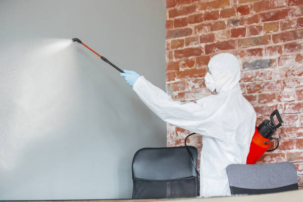 Best Mold Prevention Services  in Chamberlain, SD