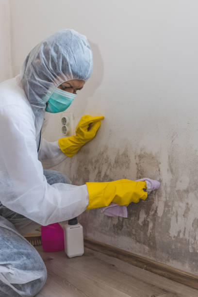 Chamberlain, SD Mold Removal Company