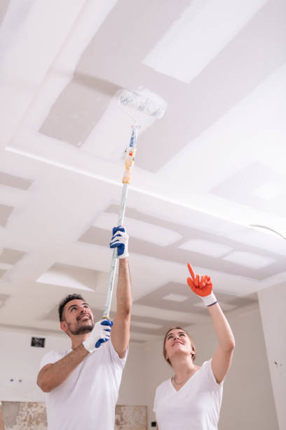 Best HVAC Mold Inspection and Cleaning  in Chamberlain, SD