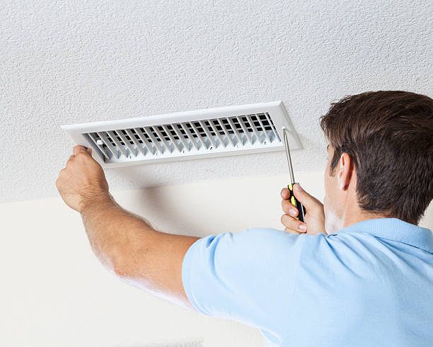 Best Mold Removal for HVAC Installations  in Chamberlain, SD
