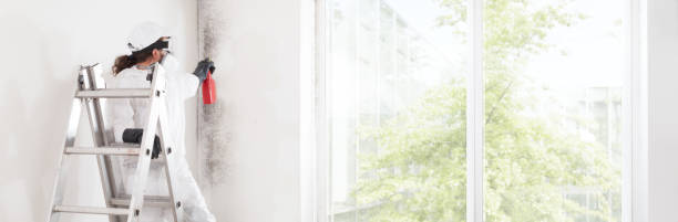 Best Industrial Mold Remediation  in Chamberlain, SD